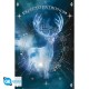 ABYSTYLE - Maxi poster gb eye harry potter expecto patronum - GBYDCO656